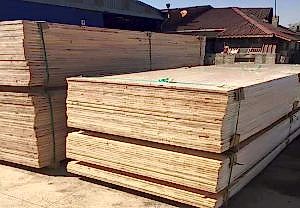 Karaoglulari Masif Panel Üretimi