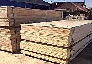 Çam-Kayın Masif Panel